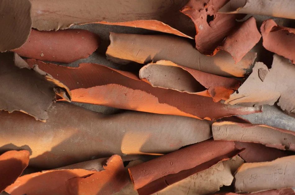 Close-up of eucalyptus bark recreated in clay, curling strips and sheets in terracotta orange, rust red and warm gray, lit from the side